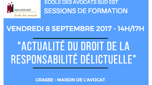 Formation EDA Sud Est : Actualité du droit de la responsabilité délictuelle