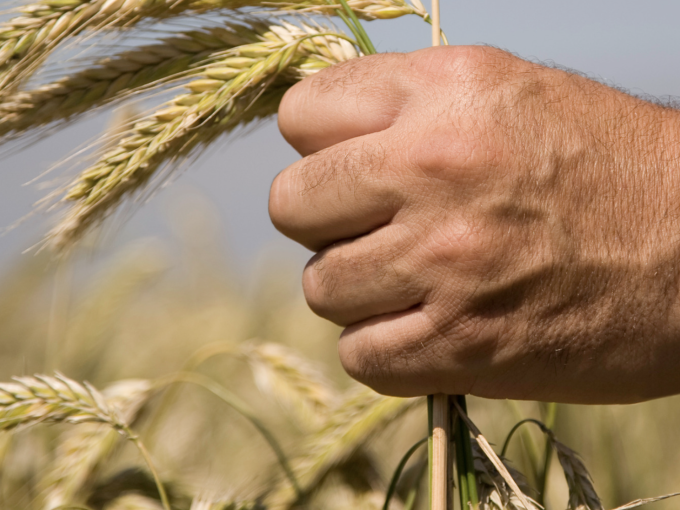 Agroalimentaire : les (…)
