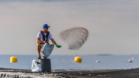 Aquafrais Cannes : Fermiers de la mer depuis 35 ans