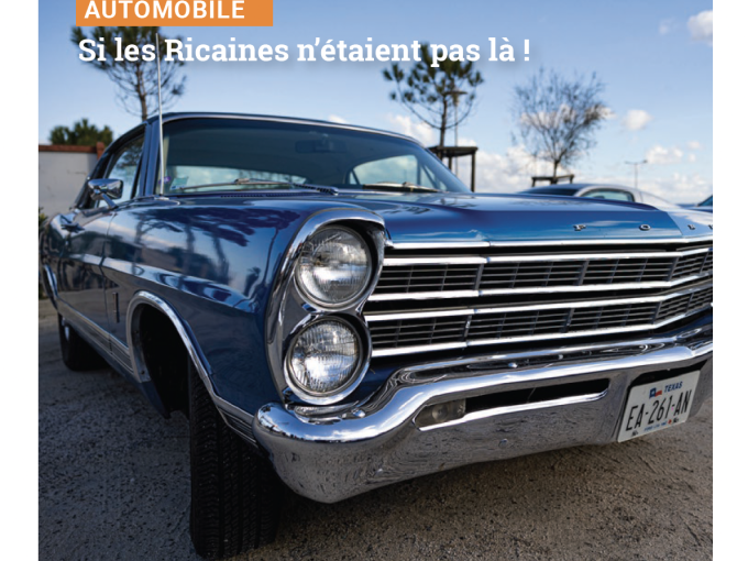 Petites Affiches VAR (…)