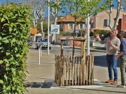 Au Pradet, un programme de plantation contre les îlots de chaleur