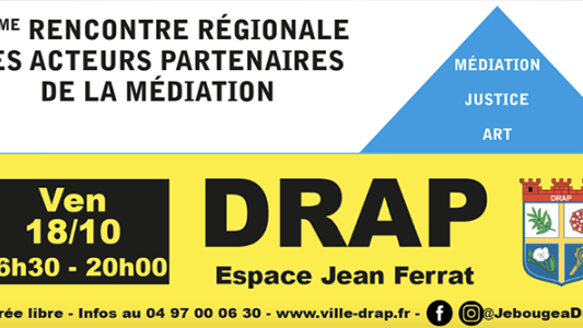 (REPORT ) Drap : Raphaël Enthoven sera l'invité d'honneur de la deuxième Rencontre régionale des acteurs partenaires de la Médiation