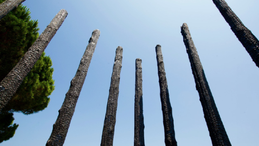 Les « Arbres Brûlés » de Philip Pastor à St Tropez : un triste écho aux récents incendies