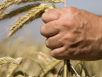  Agroalimentaire : les conséquences de la guerre
