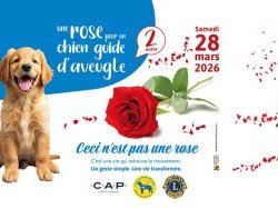 Une rose pour financer un chien guide dans les Alpes-Maritimes
