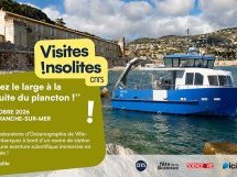 Fête de la science : Deux laboratoires du CNRS proposent deux expériences immersives et inédites