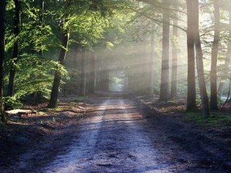 Vos infos de ce vendredi 3 décembre