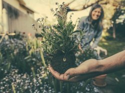 Métiers du paysage et de l'horticulture : 38 offres à pourvoir dans le 06 et 83 via un job dating en ligne !