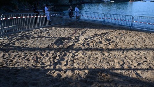 À Saint-Raphaël, première ponte d'une tortue marine de la saison sur la Côte d'Azur