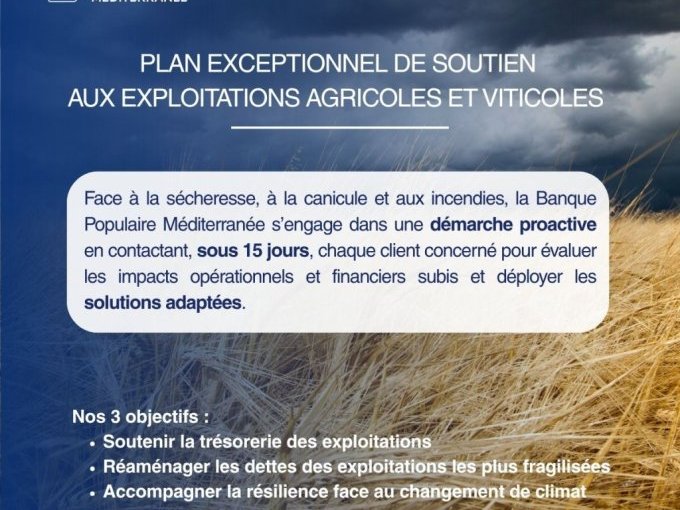 Sécheresse et incendies :