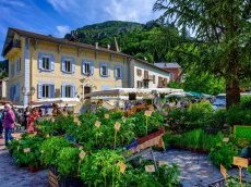 Parité et fin du panachage : quelles conséquences pour les plus petites communes ?