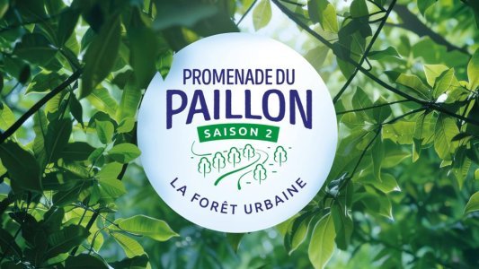 Veni, vidi... vite dit ! de Jean-Michel Chevalier