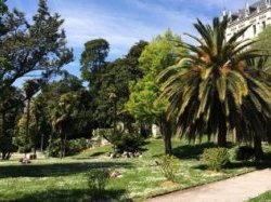 Les Niçois invités à redécouvrir les trésors botaniques et architecturaux du parc Valrose