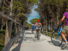 Tour du Cap d'Antibes : la mairie devra réexaminer la demande d'aménagement pour les vélos