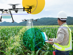 Le Cluster IA, cofondé par Docaposte, choisit l'agriculture pour lancer son 1er use case