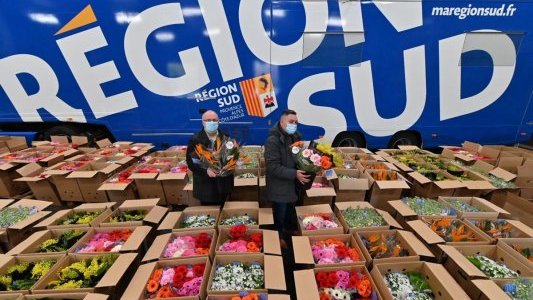 La Région Sud commande 10 000 bouquets à sa filière horticole pour les soignants