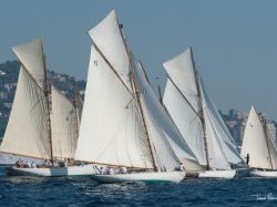 Régates Royales - Trophée Panerai