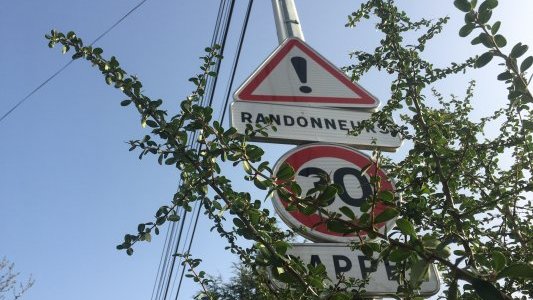 Veni, vidi...vite dit ! de Jean-Michel Chevalier 