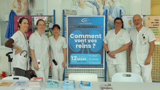 Comment surveiller la santé de ses reins ?
