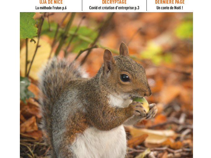 Les Petites Affiches (…)