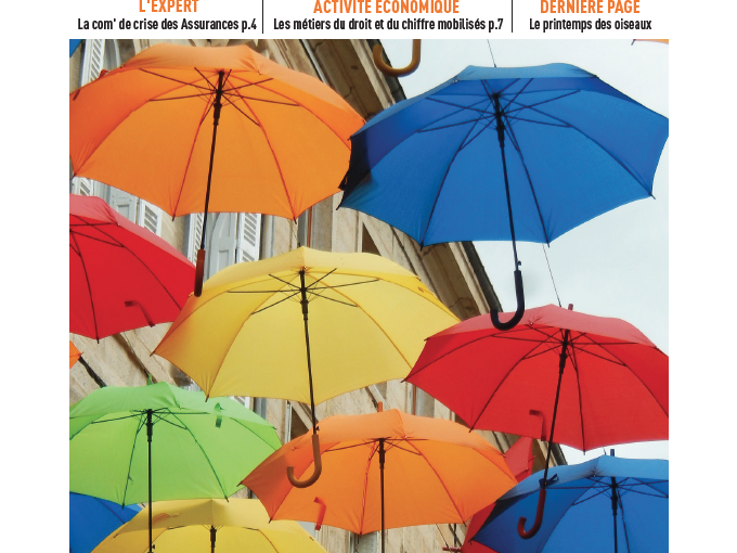 Les Petites Affiches (…)