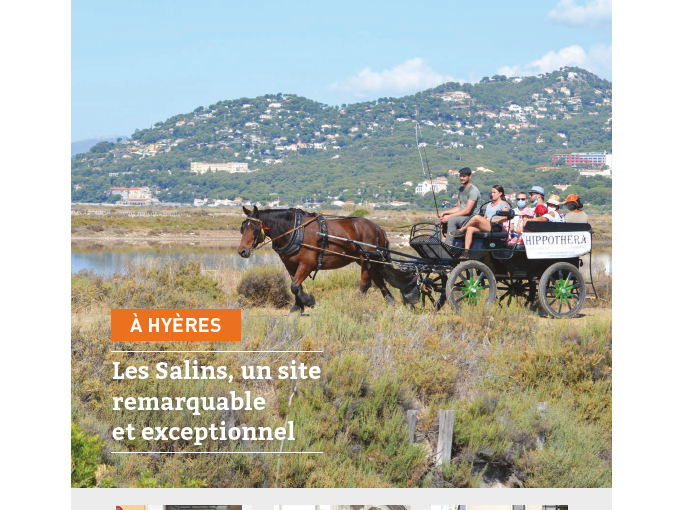 Petites Affiches VAR (…)