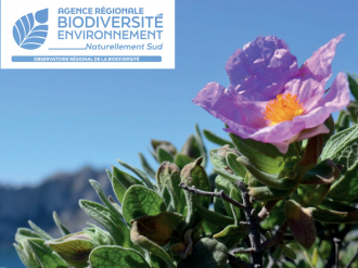 Biodiversité : en Provence-Alpes-Côte d'Azur, un patrimoine naturel riche mais sous pression