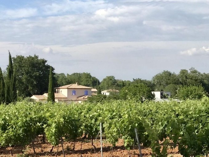 En 2020, les Vins de (…)