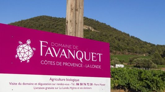 Domaine de Favanquet – Une soirée dégustation au crépuscule au cœur des vignes