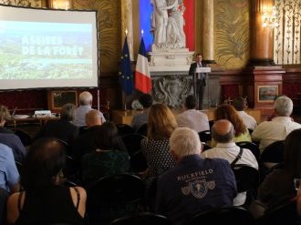 Alpes-Maritimes : une feuille de route à l'horizon 2035 pour adapter la forêt au changement climatique