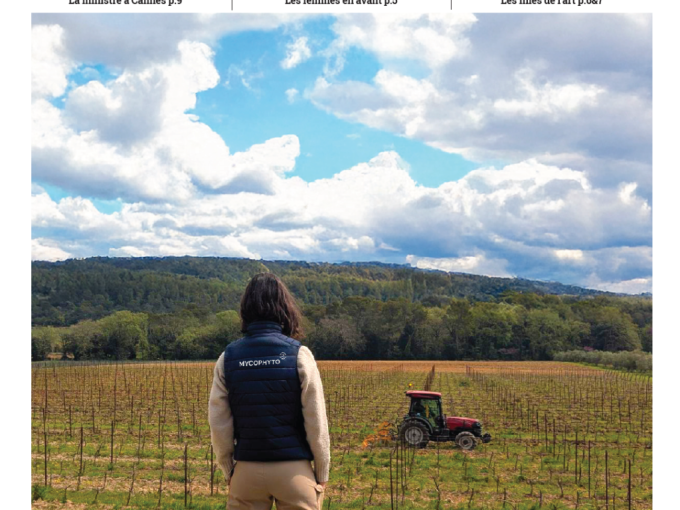 Les Petites Affiches (…)