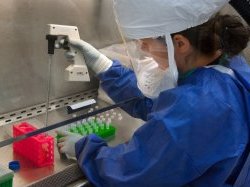 Coronavirus : LVMH produit du gel hydroalcoolique à destination des hôpitaux français 
