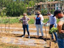 Une parlementaire au chevet des agriculteurs sinistrés