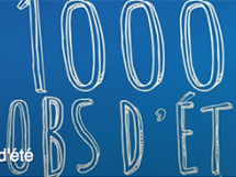 1000 jobs d'été à Cannes, venez trouver le votre !