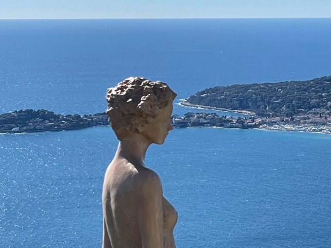 Veni, vidi... vite dit !