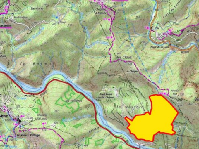 Tournefort/ Massoins (…)