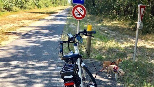 En région Sud, les touristes étrangers reviennent