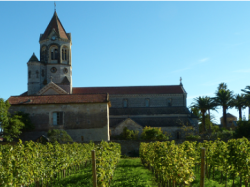 Ventes aux enchères de la récolte du Clos de la Charité le 5 octobre