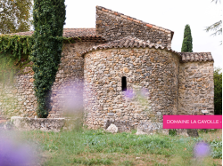 Art & Vin invite à une métamorphose des sens au cœur des vignobles