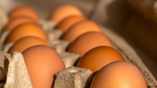 Vos échos juridiques hebdomadaires