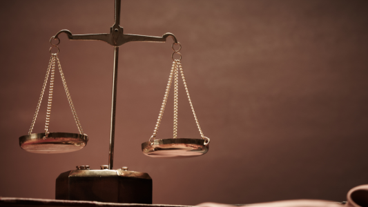 Diffamation : la plainte de la LDH contre le maire de Mandelieu rejetée par le Tribunal Correctionnel de Paris