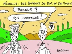 Veni, vidi... vite dit, de Jean-Michel Chevalier