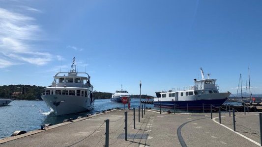 Cap sur 2050 pour Porquerolles !