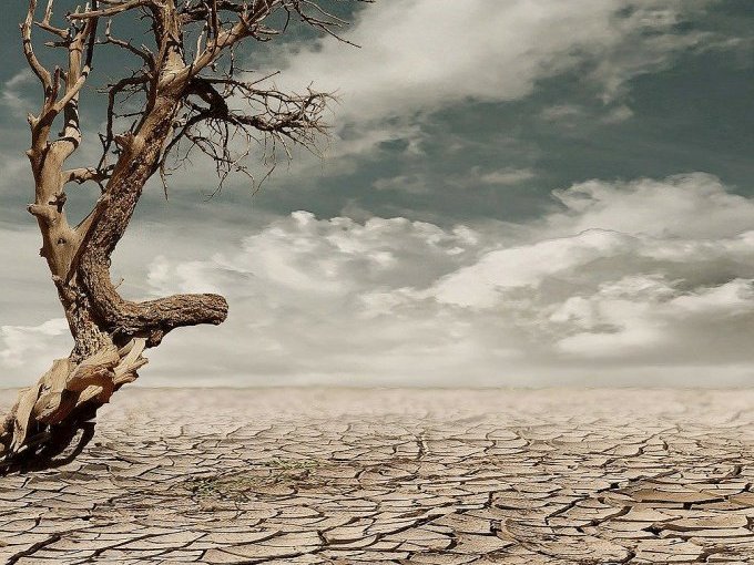 Climat : les députés (…)