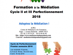  Formation AMI le 16 mars : "Introduction et Clôture en Médiation"