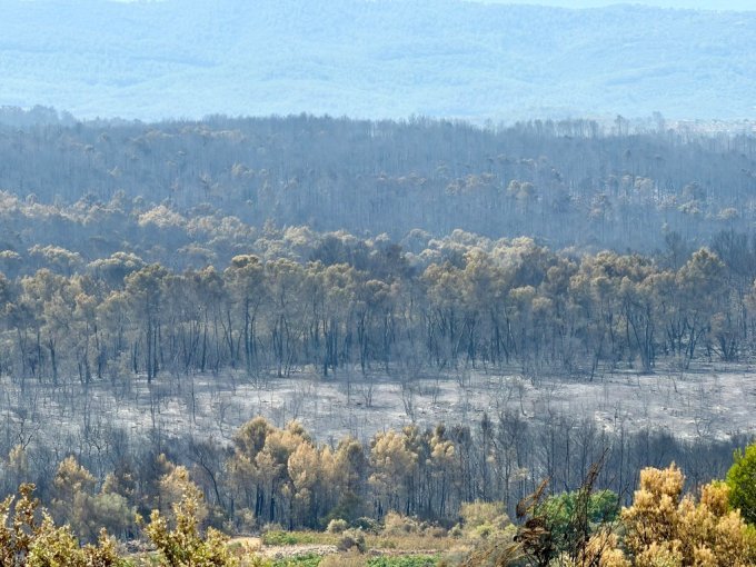 Face aux incendies, (…)