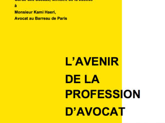 Réflexions sur « L'avenir de la profession d'avocat »