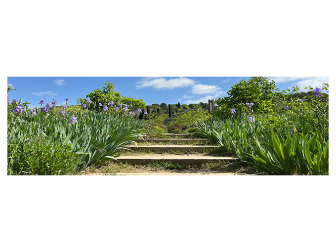 Les jardins du MIP à (…)