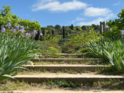 Les jardins du MIP à Mouans-Sartoux ouvrent leurs portes au public un mois plus tôt !