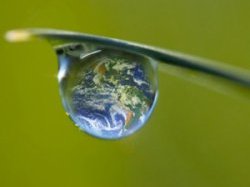 Le Grenelle de l'environnement nous sortira-t-il de la crise ? 